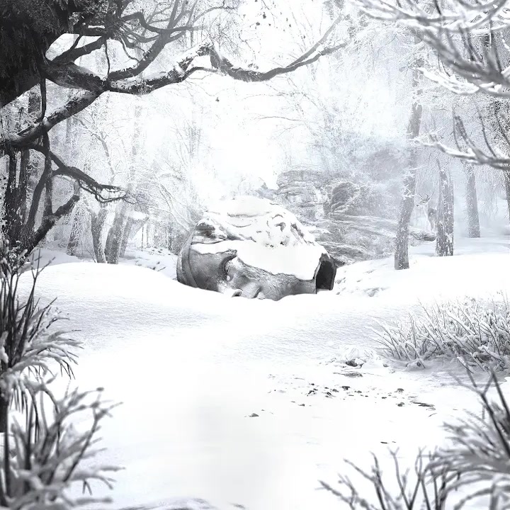 [Weezer] SZNZ： Winter