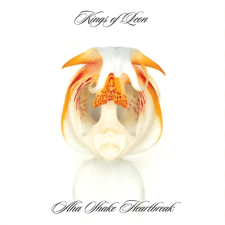 [Kings Of Leon] Aha Shake Heartbreak