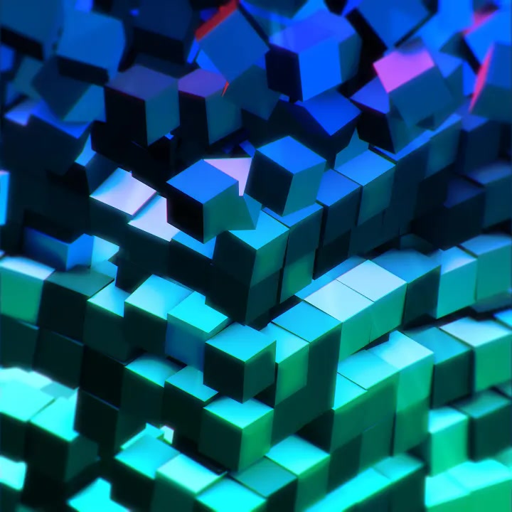 [C418] Dragon Fish