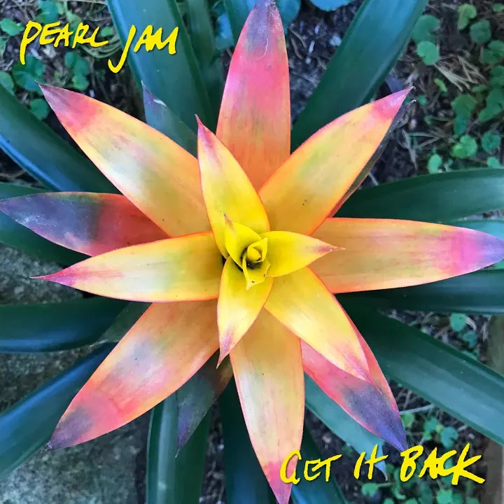 [Pearl Jam] Get It Back
