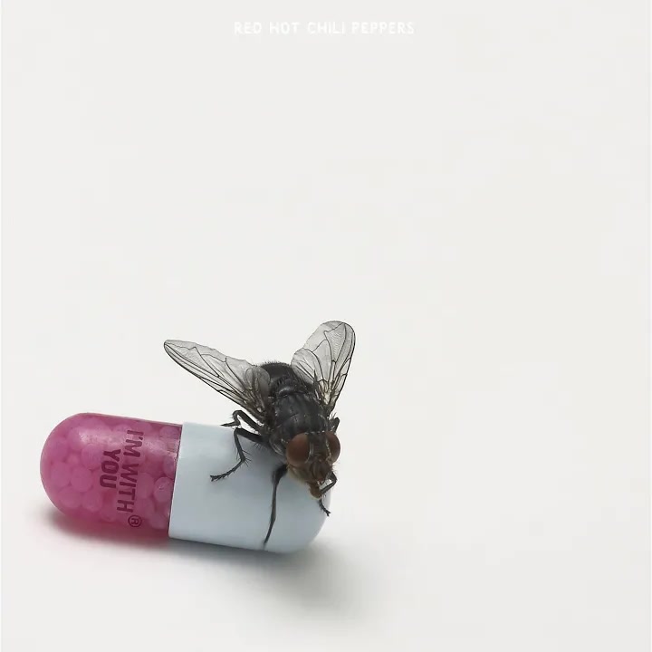 [Red Hot Chili Peppers] I'm with You